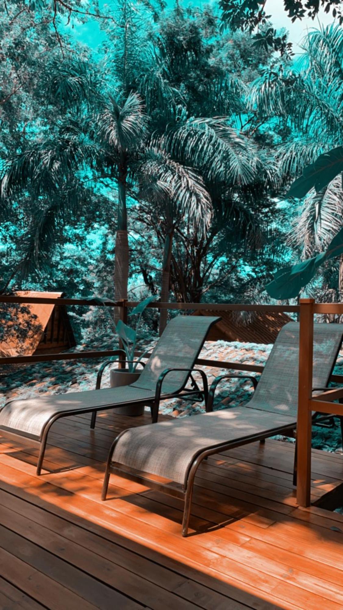 The Beach Bungalows Tamarindo- Adults Only Room photo